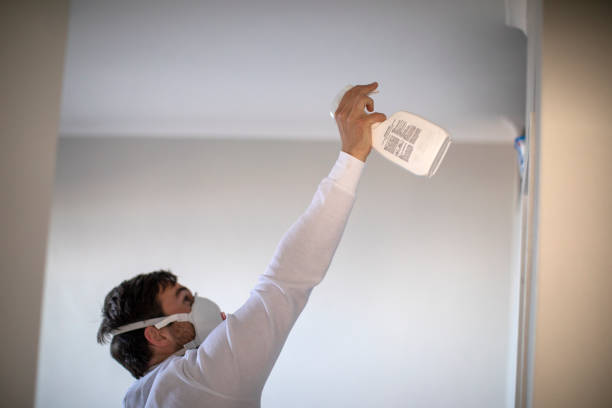 Best Certified Mold Removal  in Center Point, TX