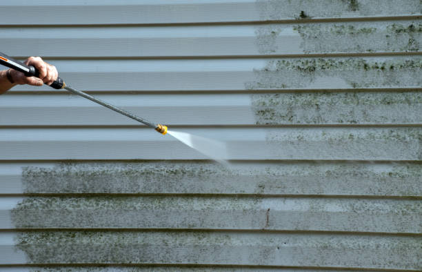 Best Mold Damage Repair  in Center Point, TX