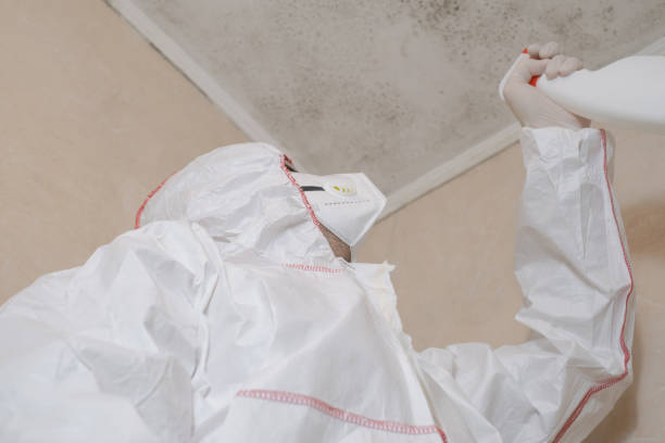 Best Mold Cleaning Services  in Center Point, TX